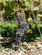 pieds de vignes_06